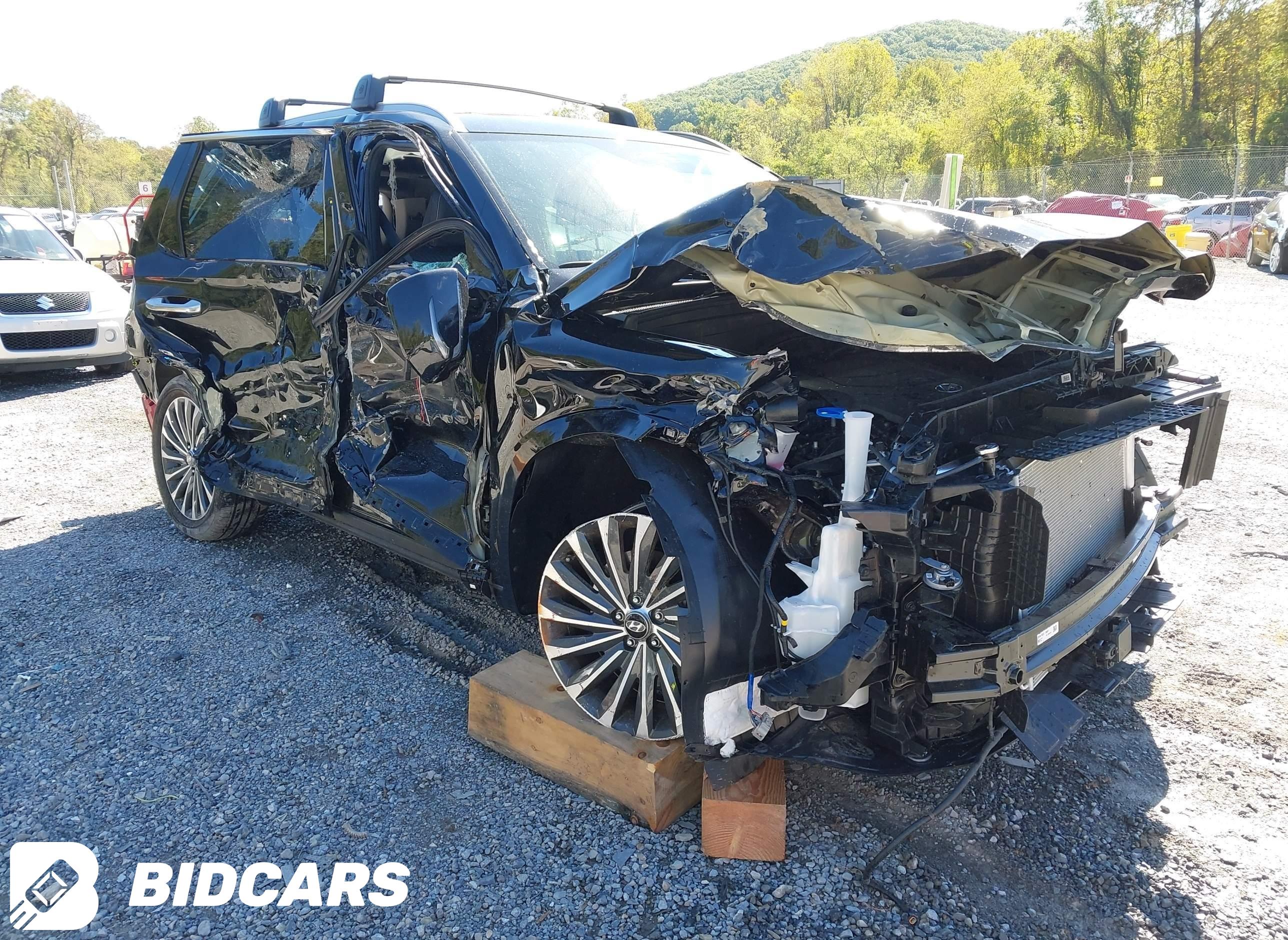 2025 Hyundai Palisade, Callig...