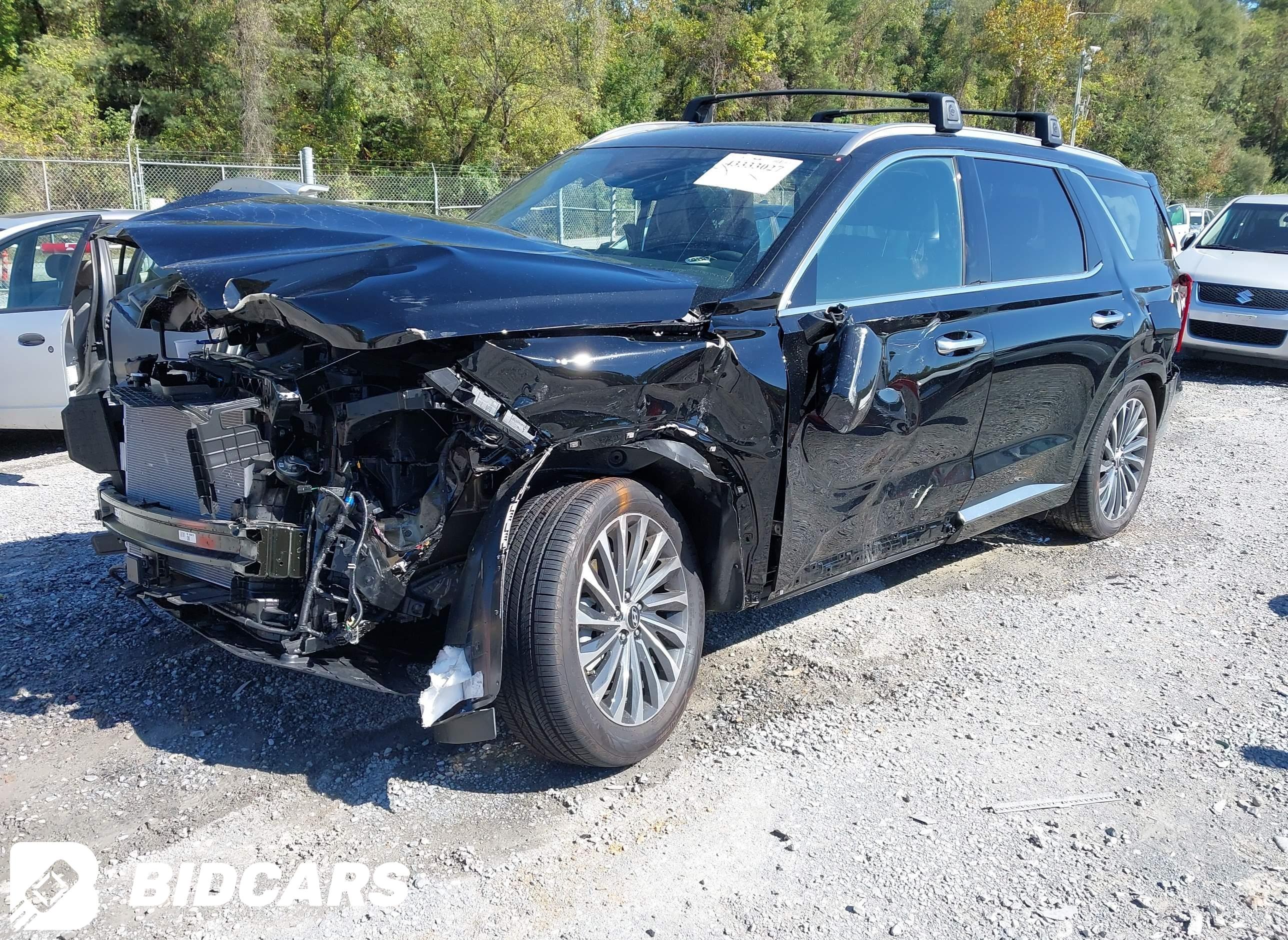 2025 Hyundai Palisade, Callig...