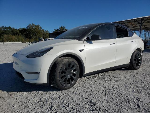 TESLA  MODEL Y , 2021