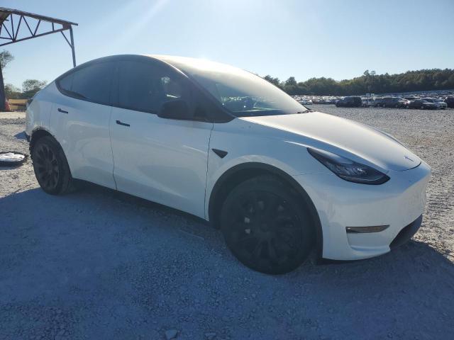 TESLA  MODEL Y , 2021