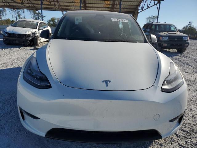 TESLA  MODEL Y , 2021