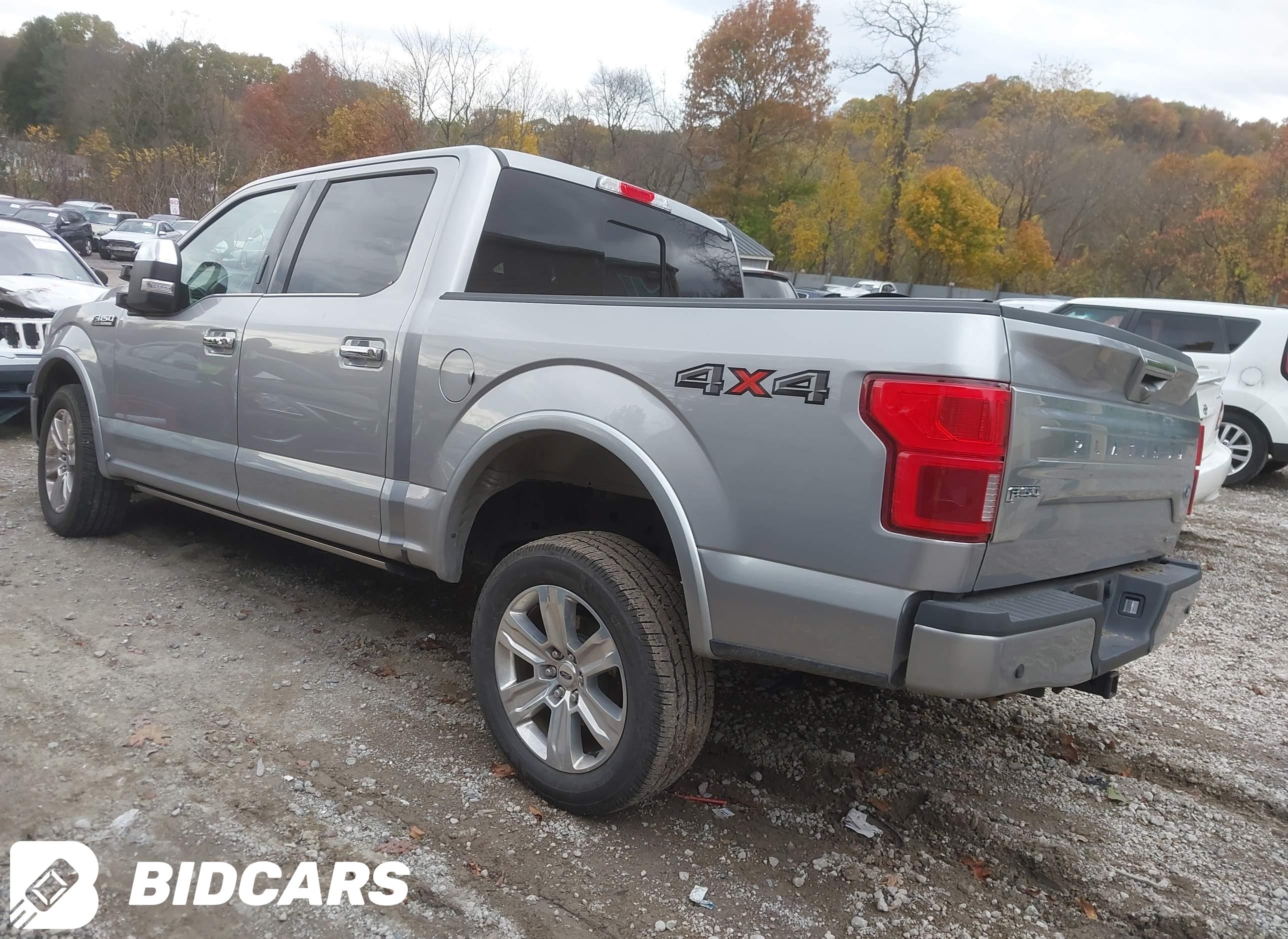 2020 Ford F-150, Platinum