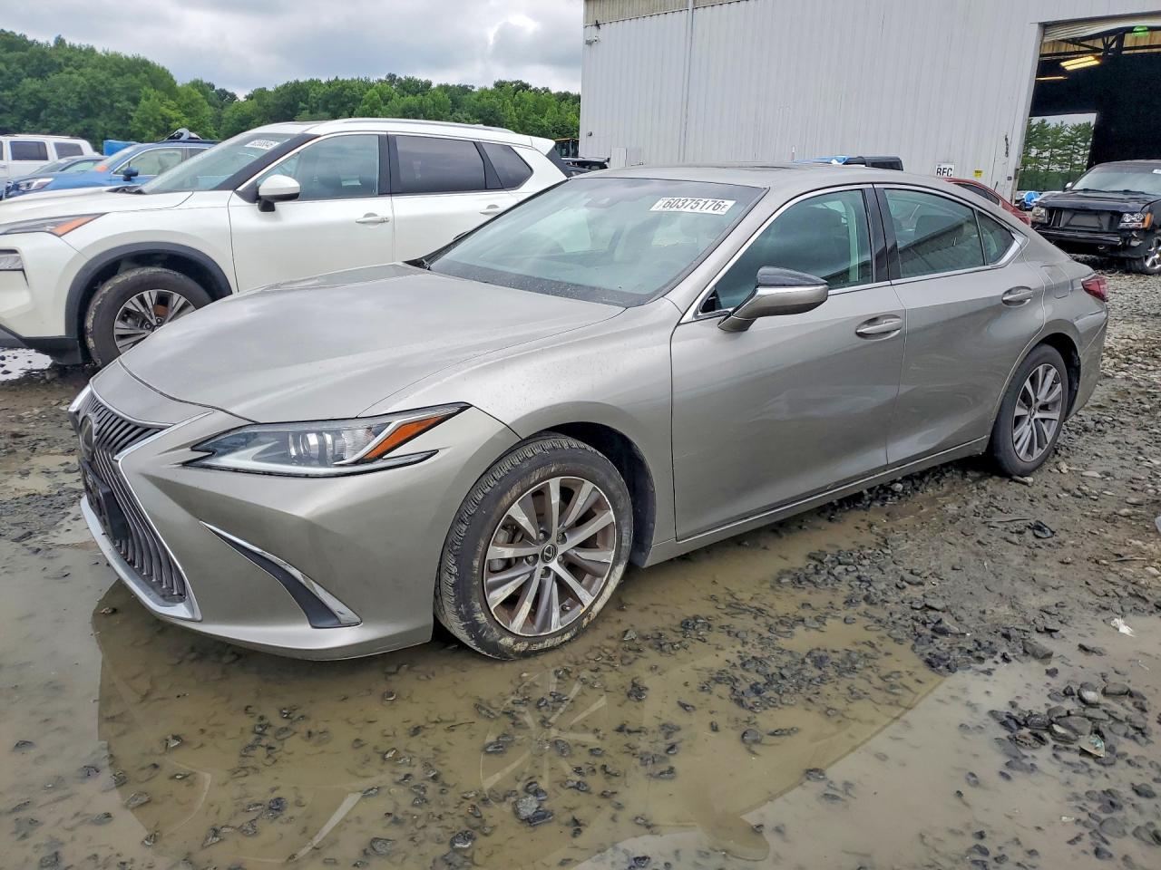 2019 Lexus ES, 350