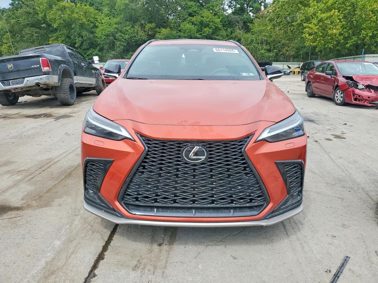 2024 Lexus NX, F Sport Handling