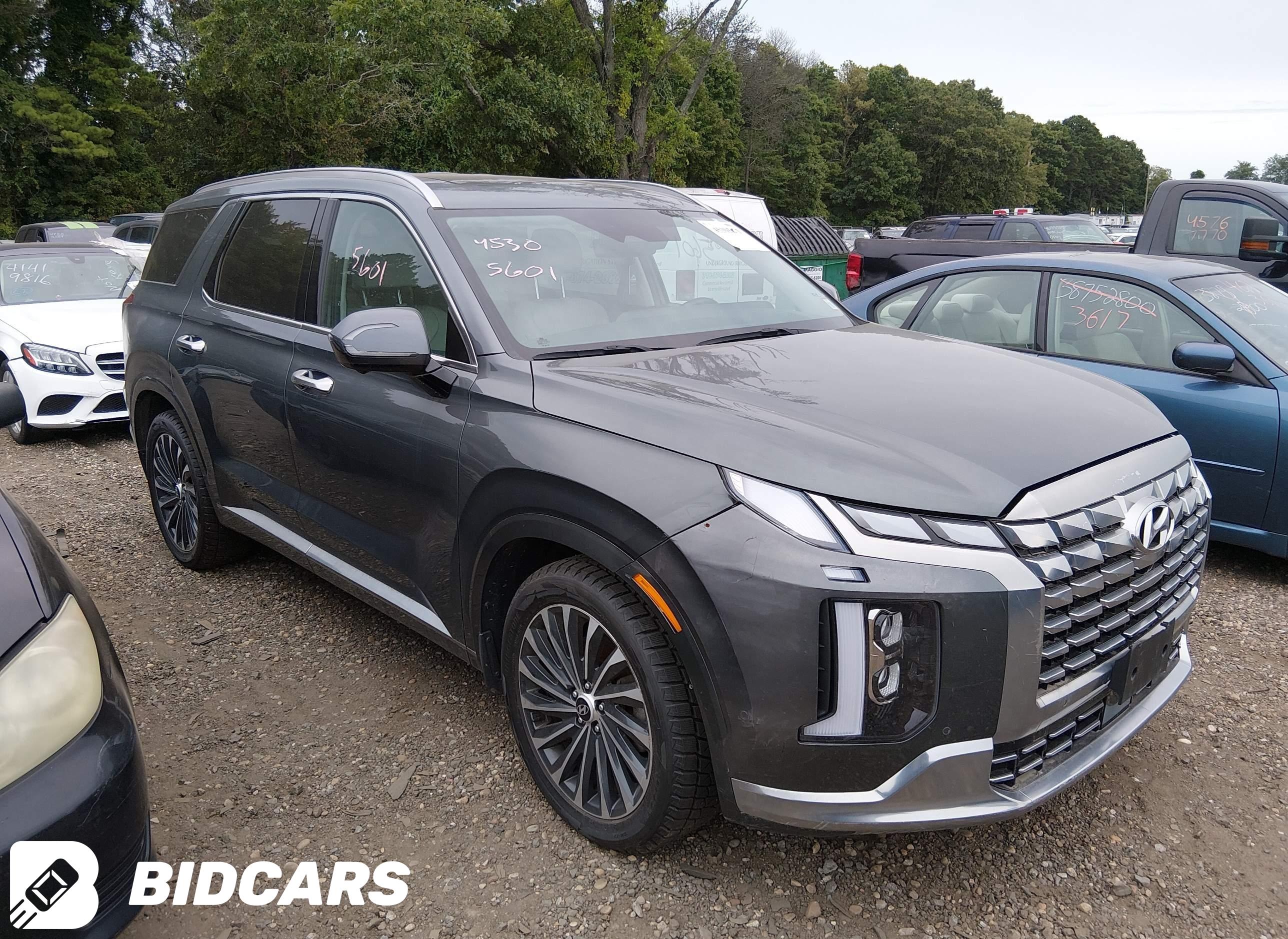 2024 Hyundai Palisade, Callig...