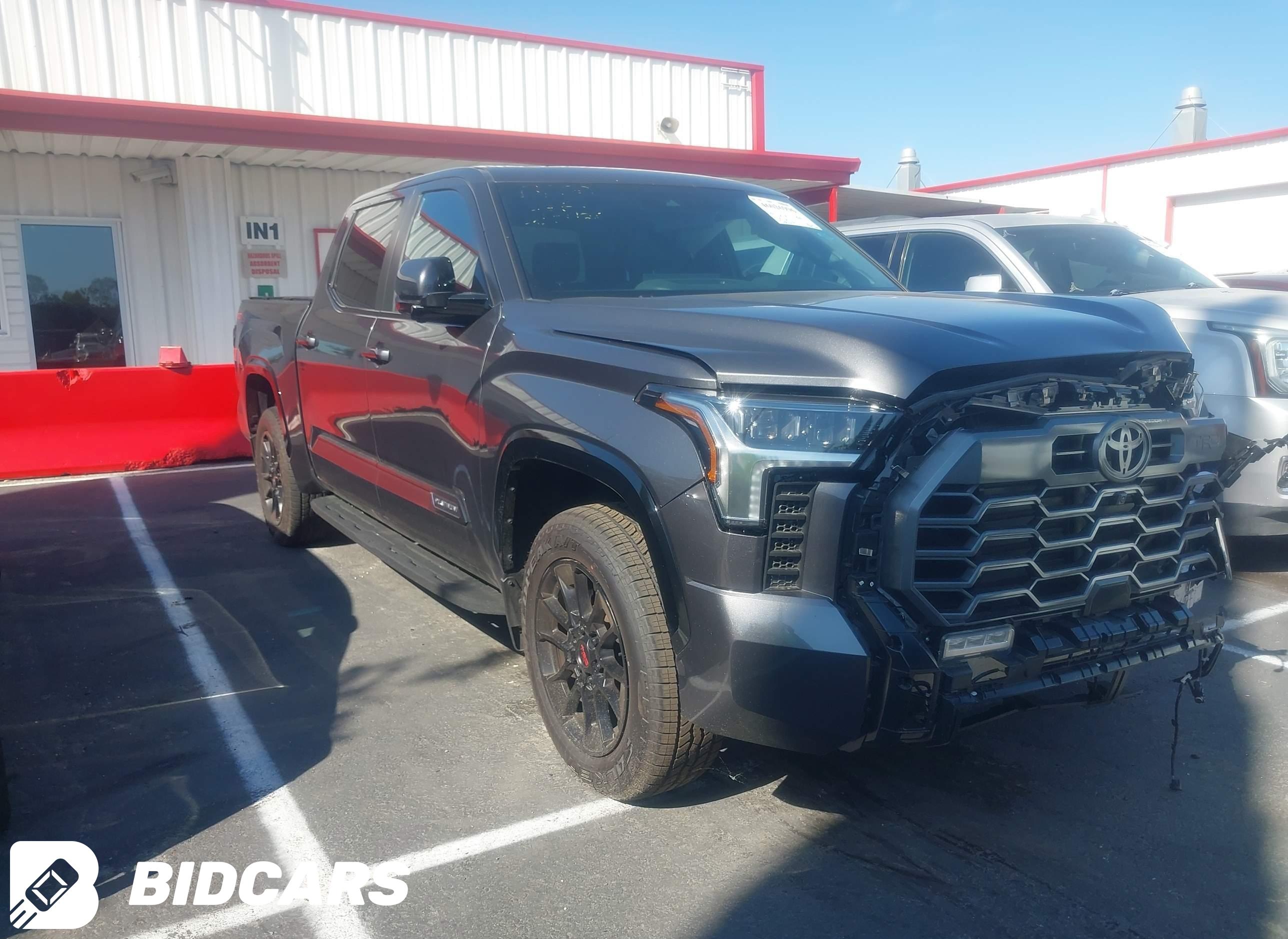 2025 Toyota Tundra, Platinum