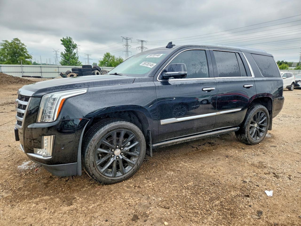 2019 Cadillac Escalade, Premi...