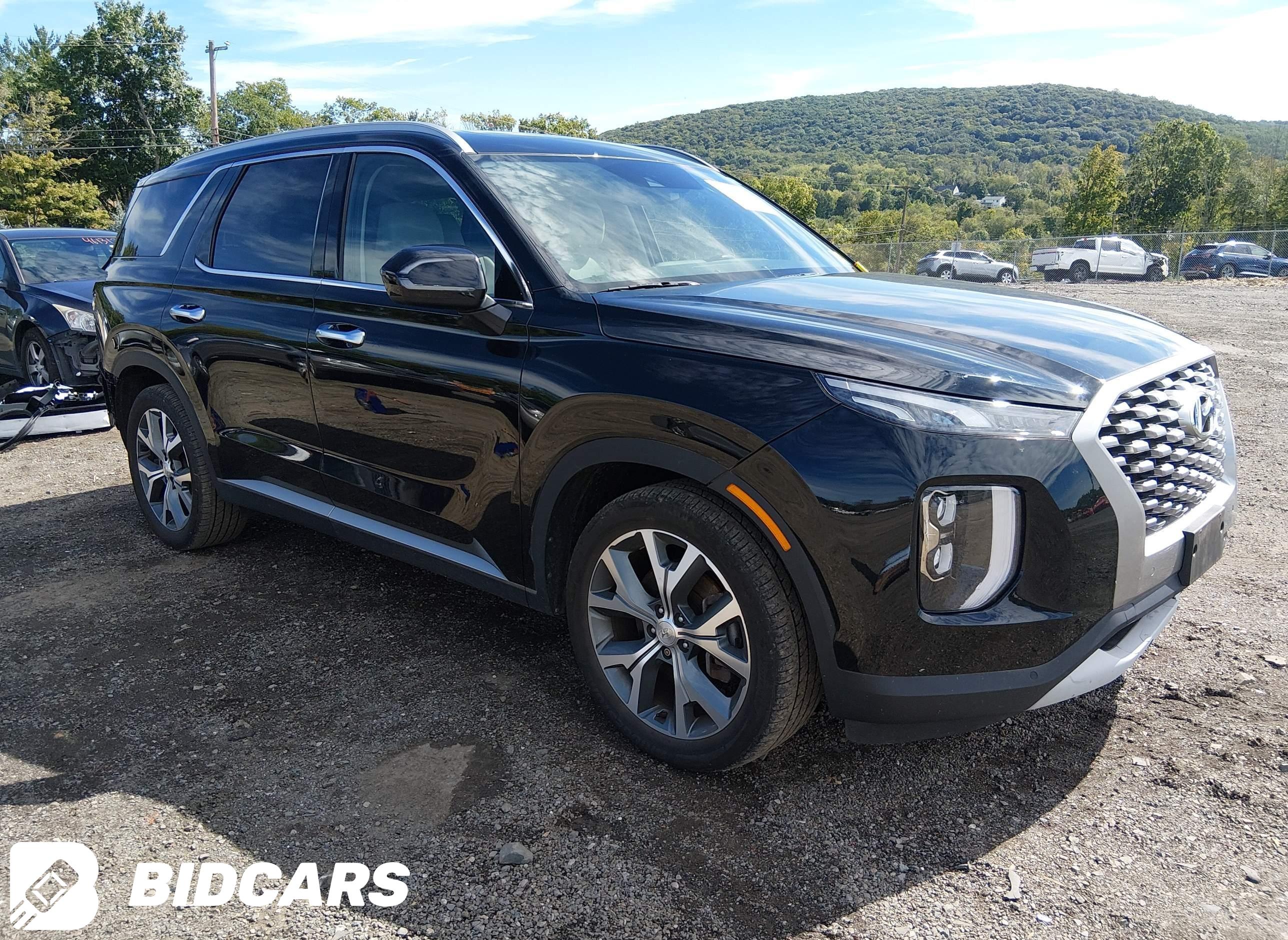 2021 Hyundai Palisade, Sel
