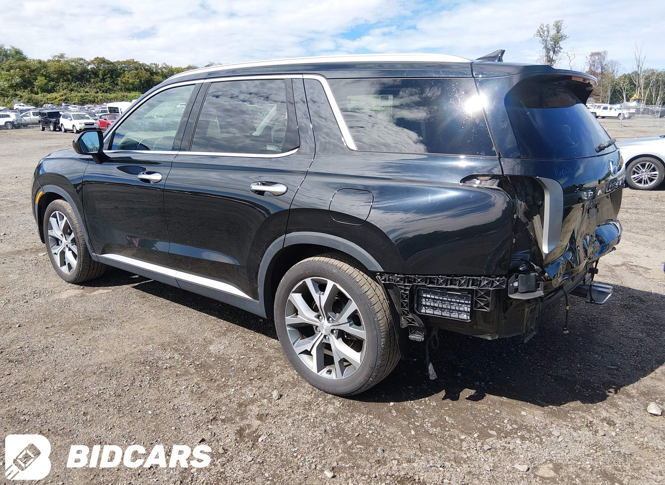 2021 Hyundai Palisade, Sel