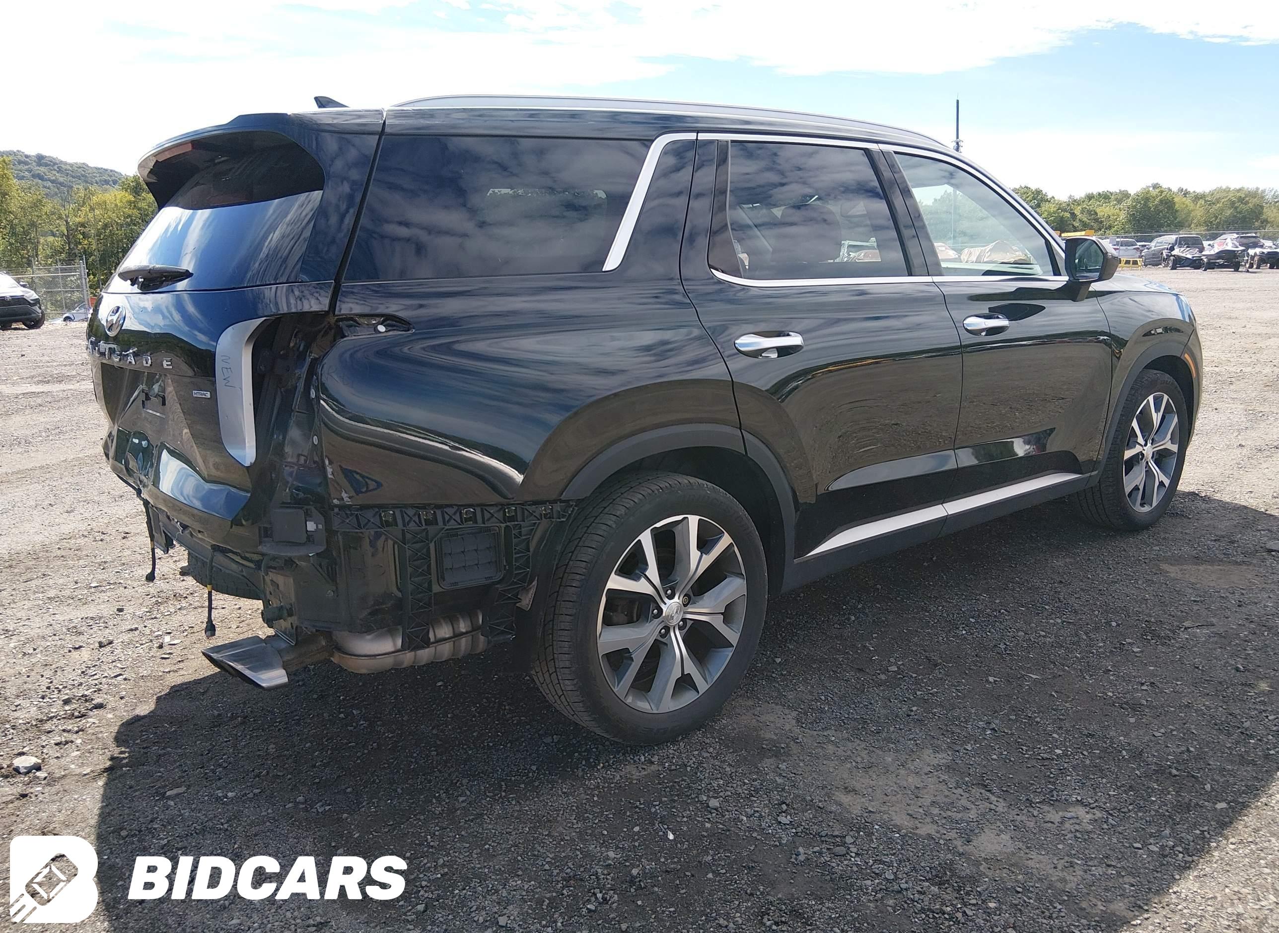 2021 Hyundai Palisade, Sel