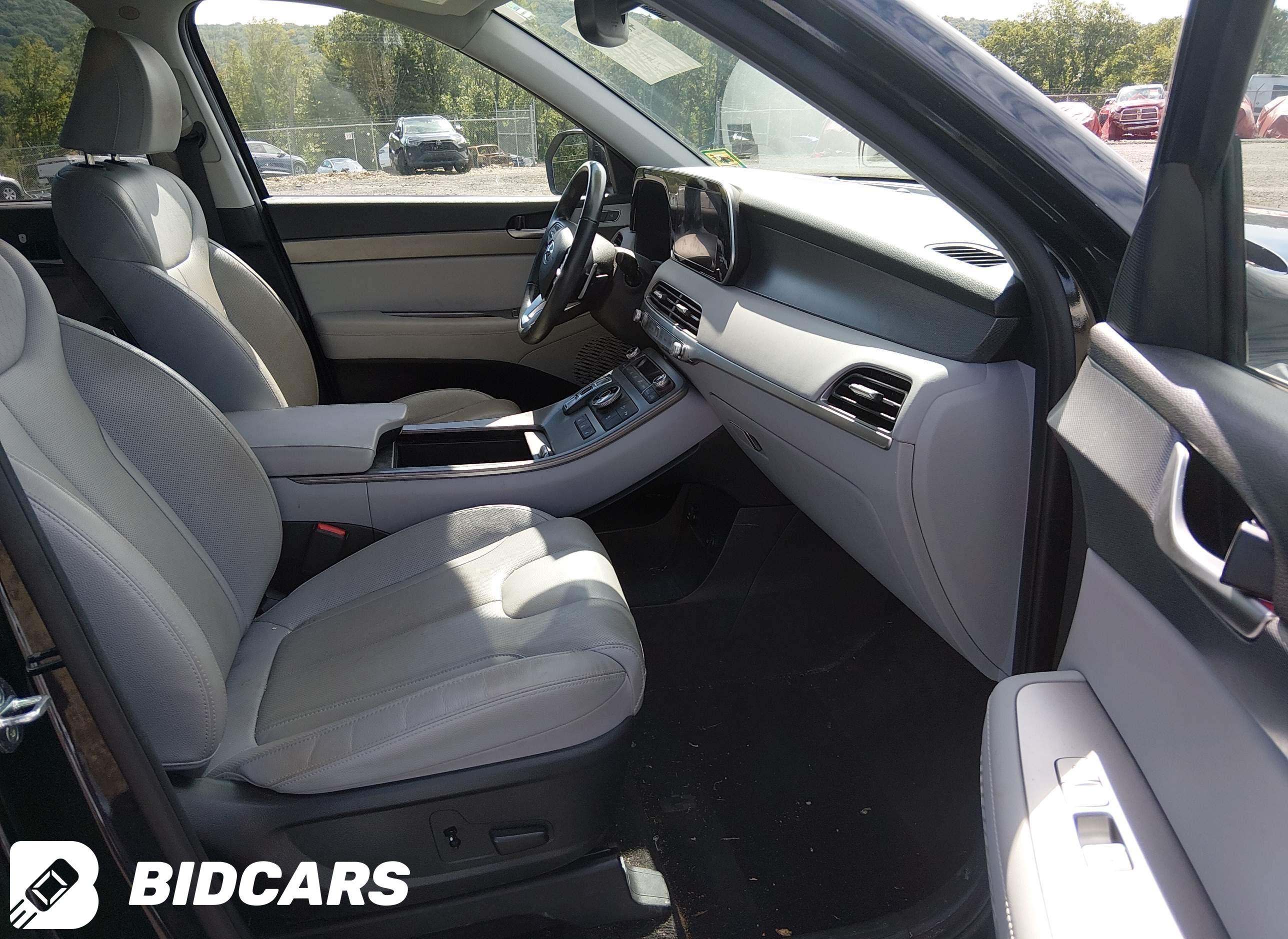 2021 Hyundai Palisade, Sel