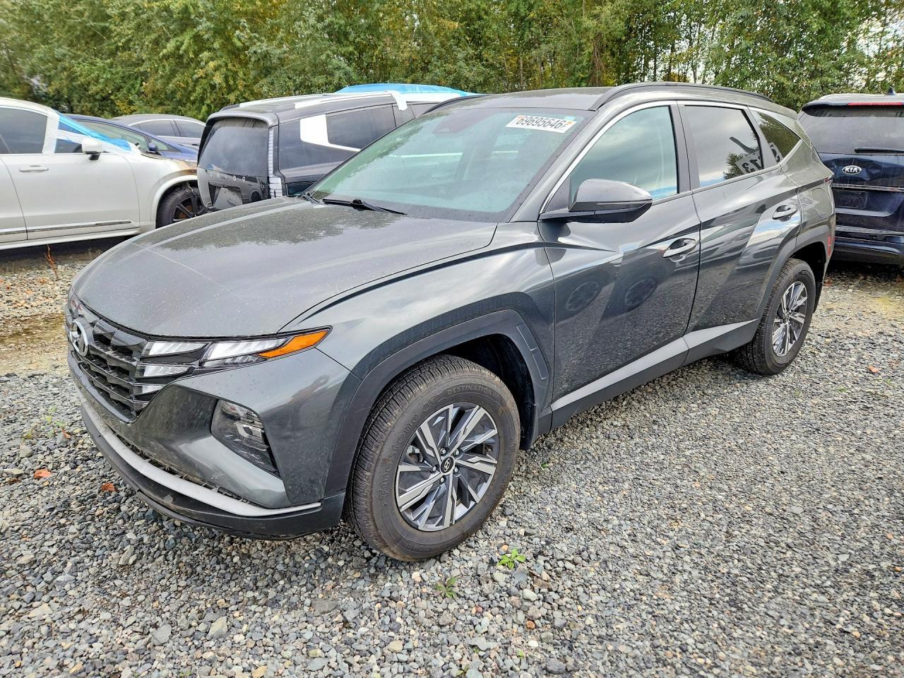 2023 Hyundai Tucson, Blue