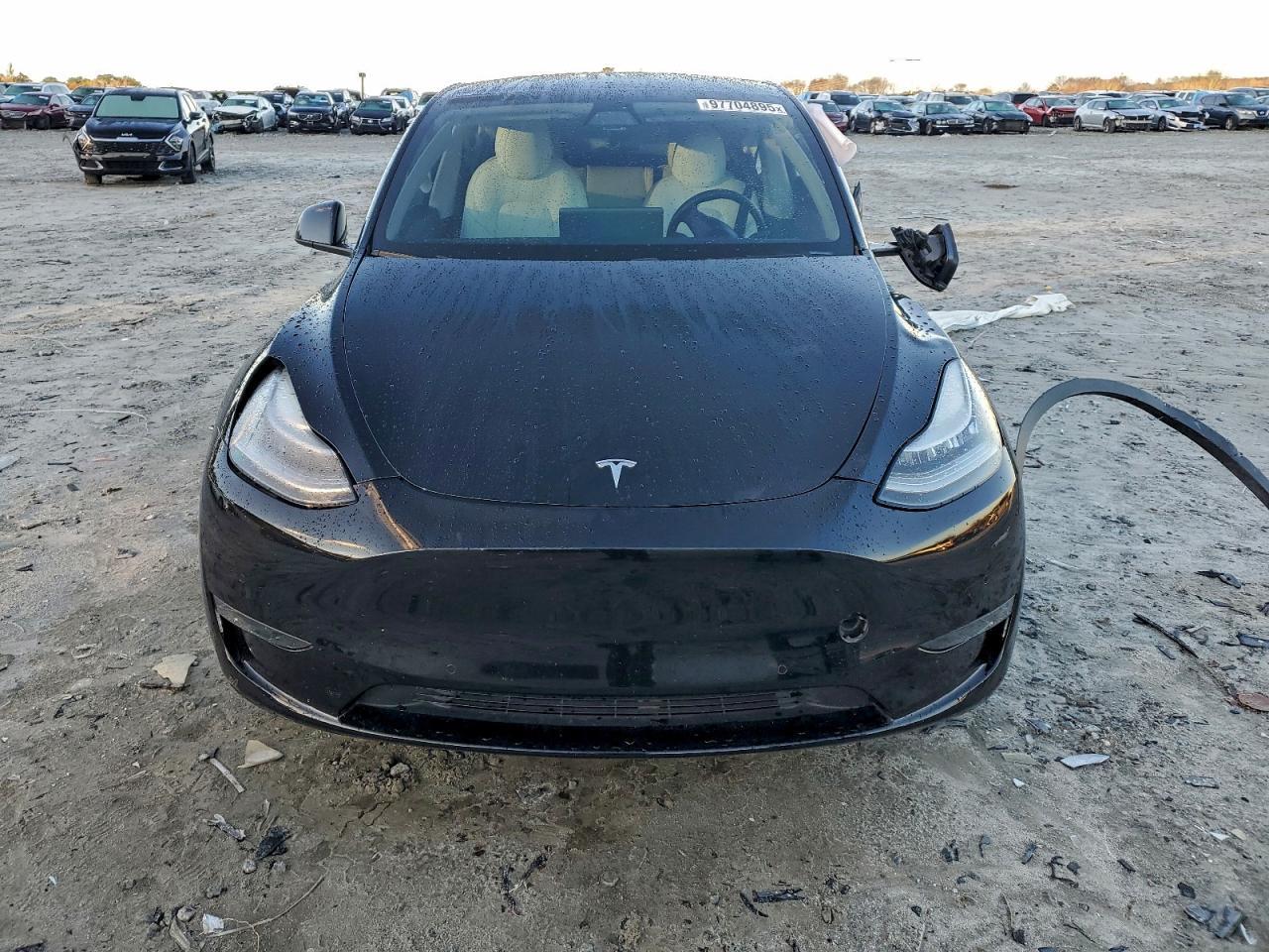 2020 Tesla MODEL Y
