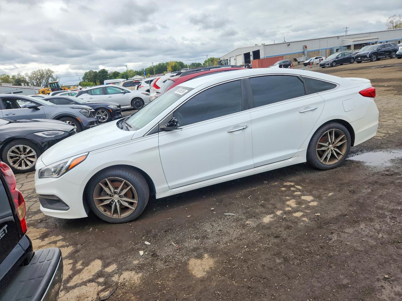 2015 Hyundai Sonata, Sport 2.0T