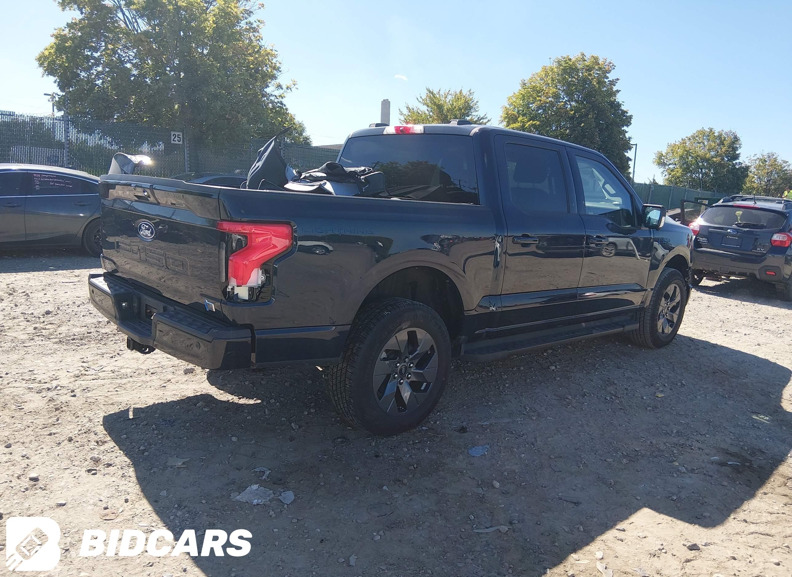 2025 Ford F-150 Lightning, Flash