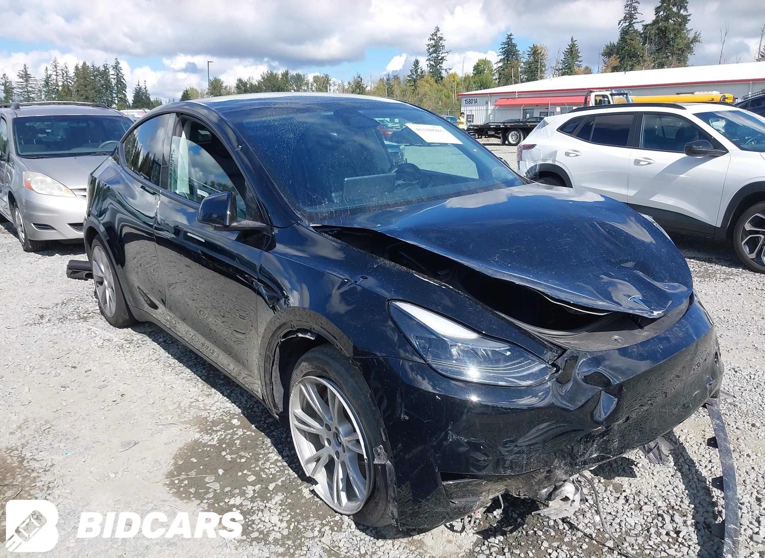 2023 Tesla Model Y, Awd/Long...