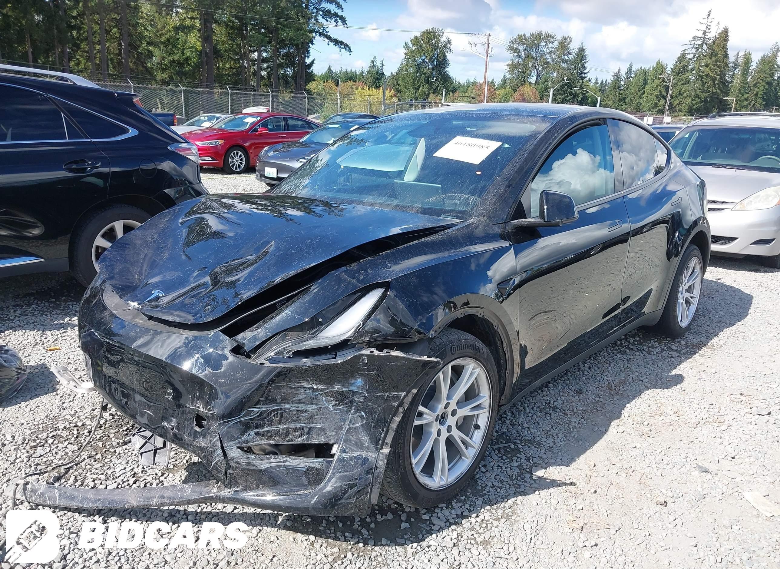2023 Tesla Model Y, Awd/Long...