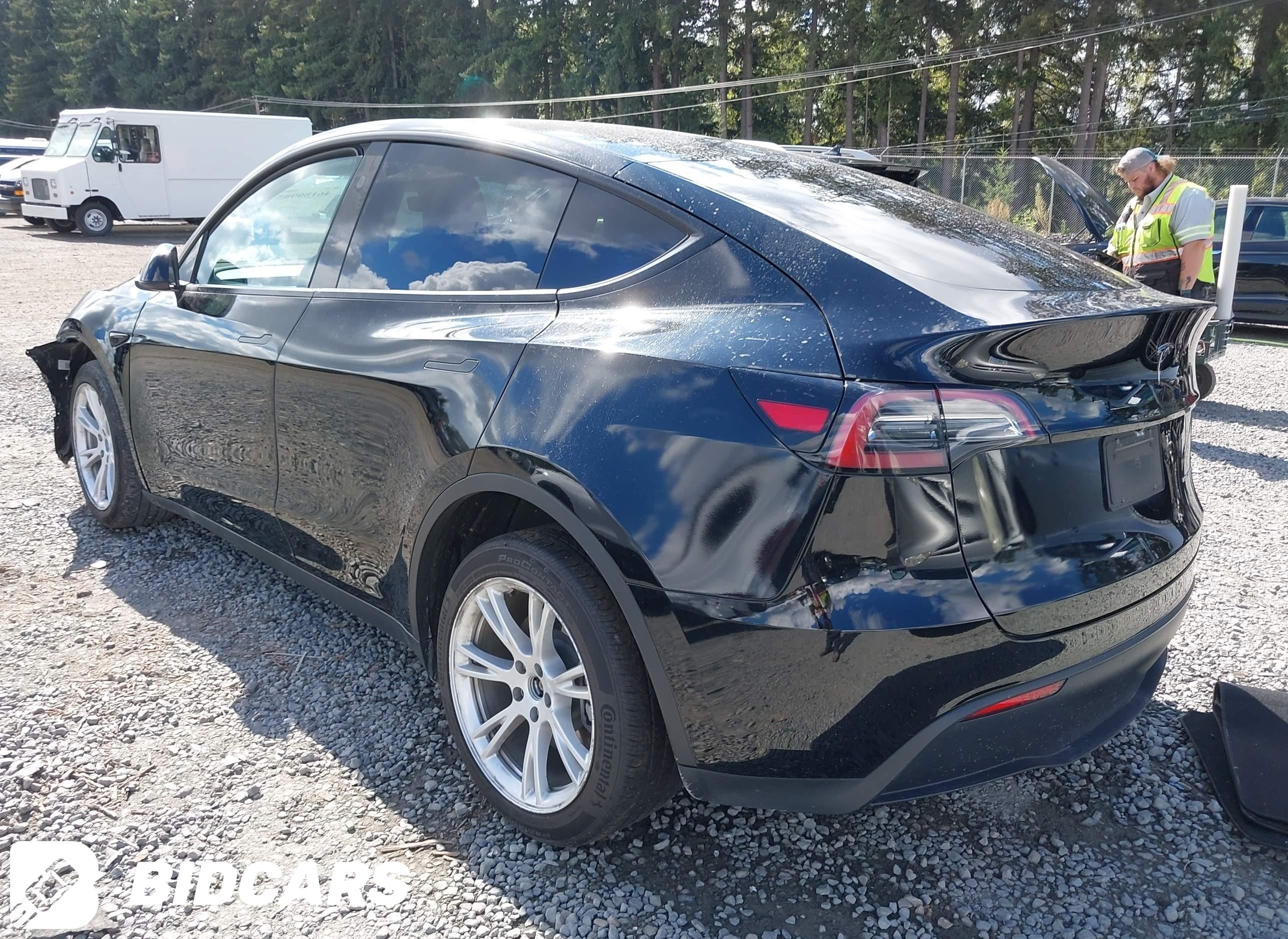 2023 Tesla Model Y, Awd/Long...