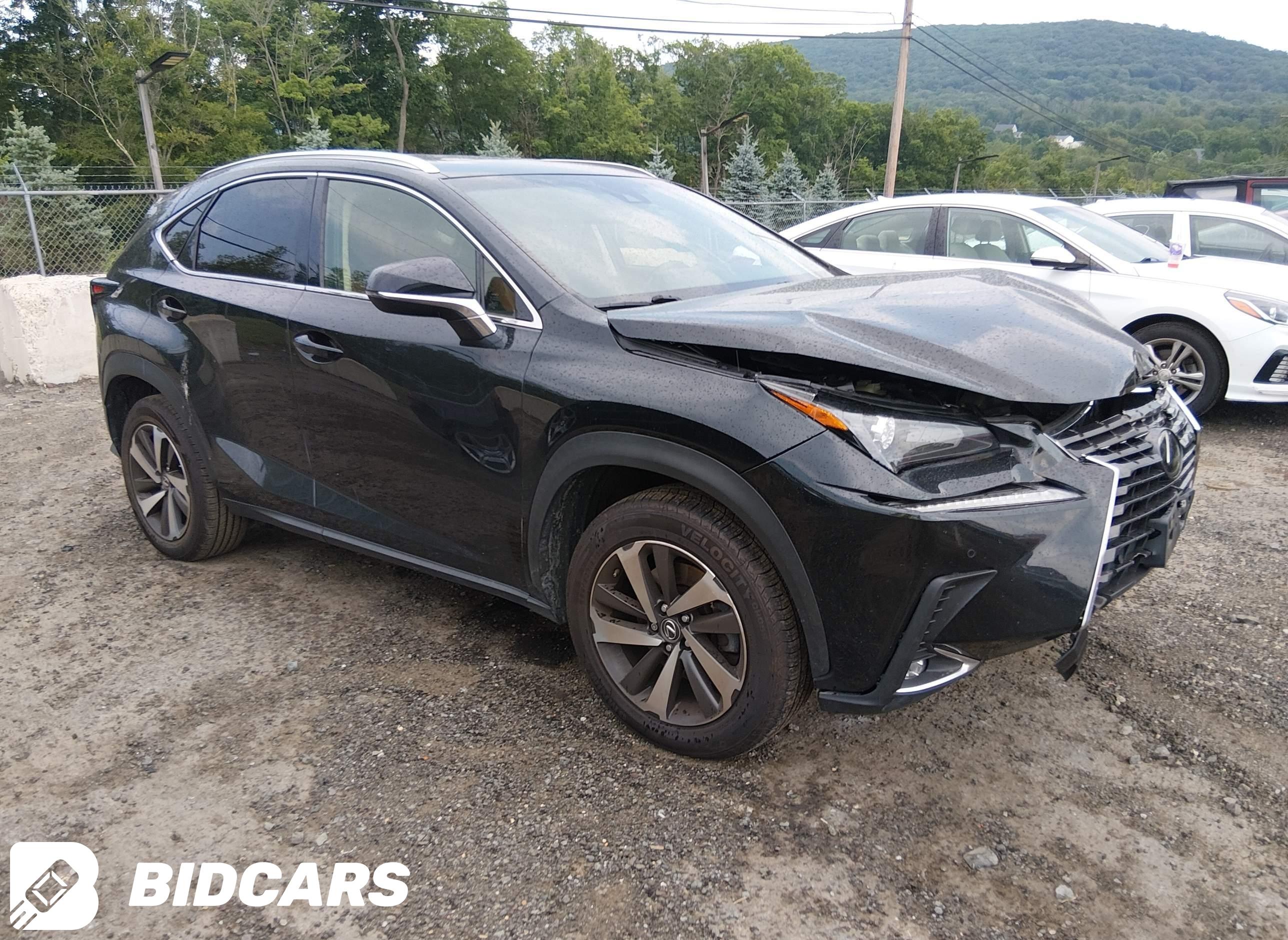 2019 Lexus NX 300