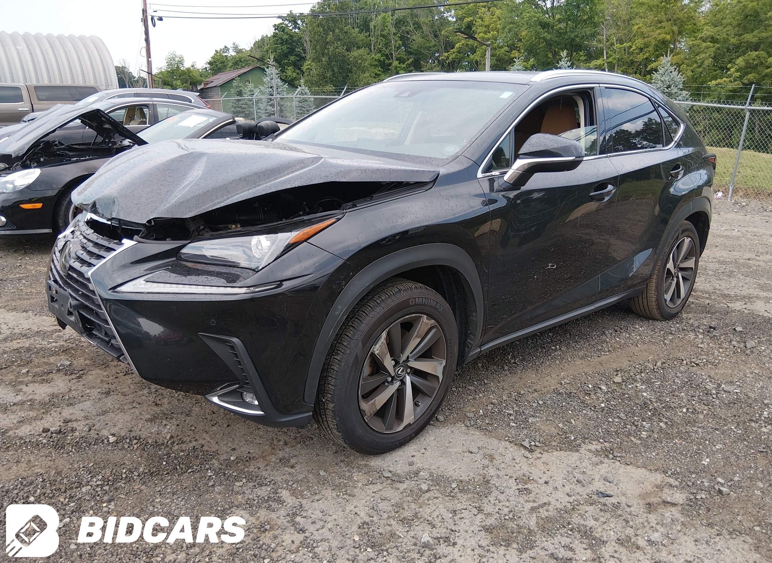2019 Lexus NX 300