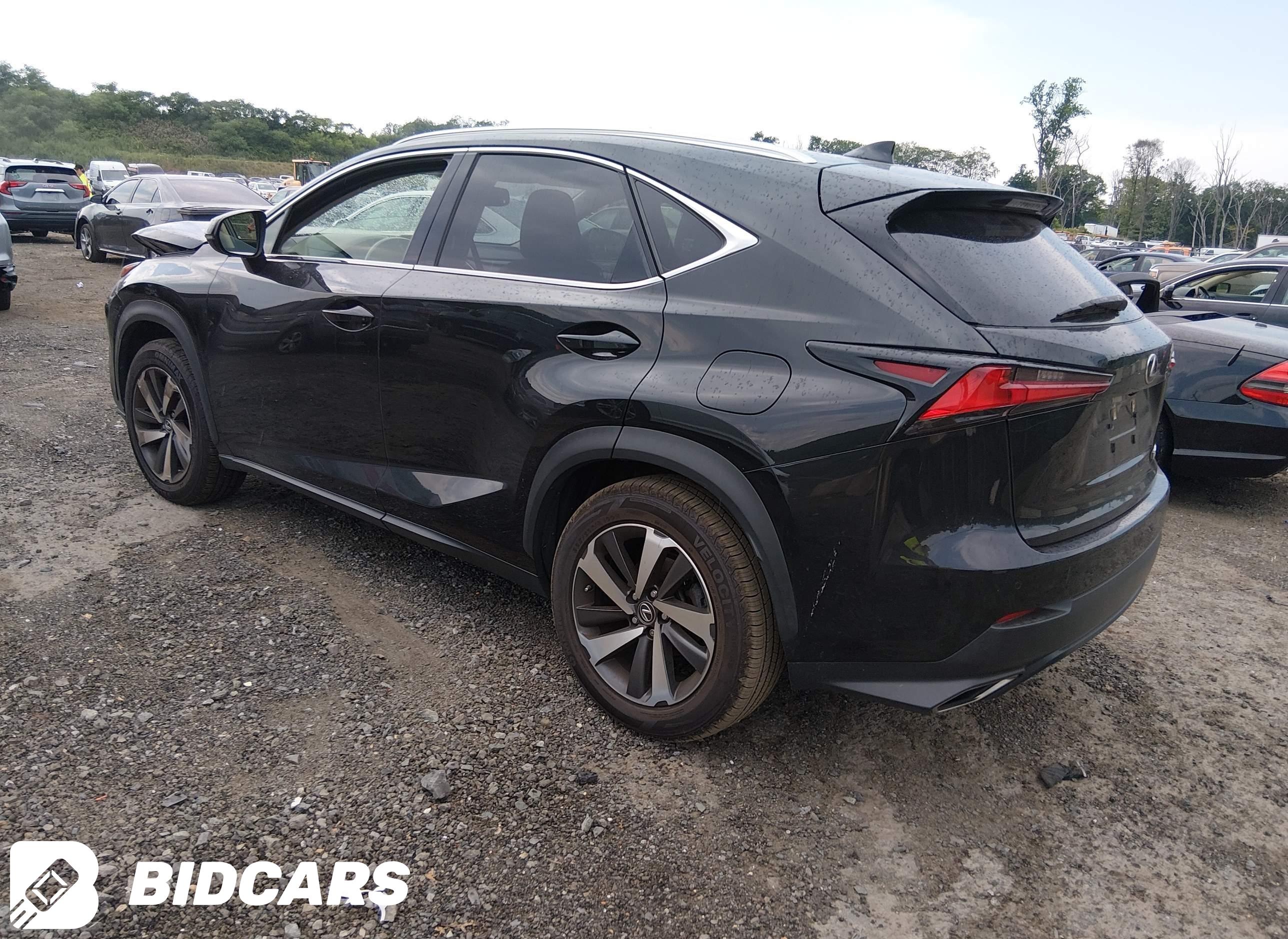 2019 Lexus NX 300