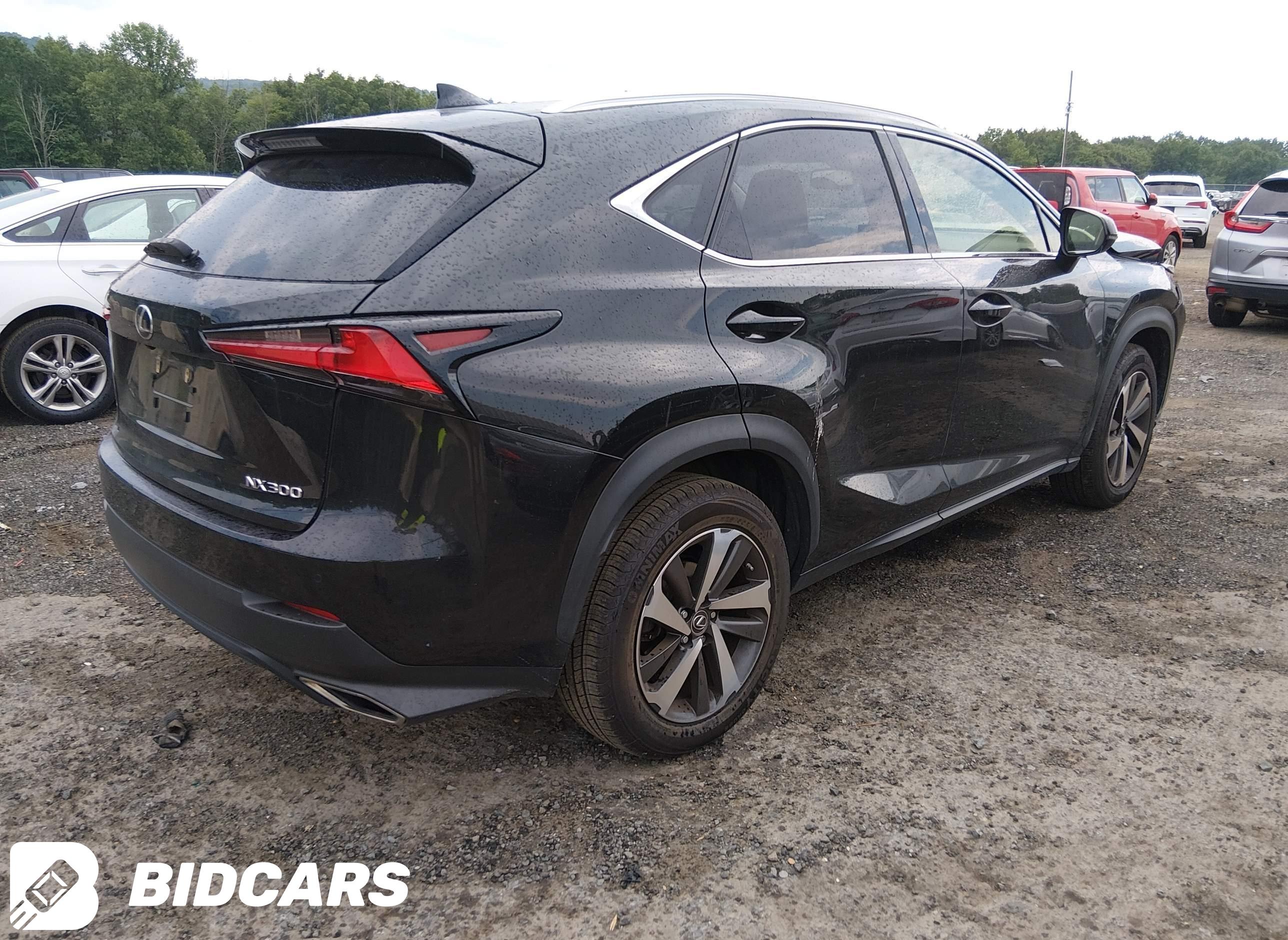 2019 Lexus NX 300