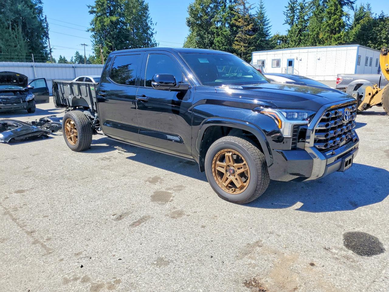 2022 Toyota Tundra, Platinum Hv