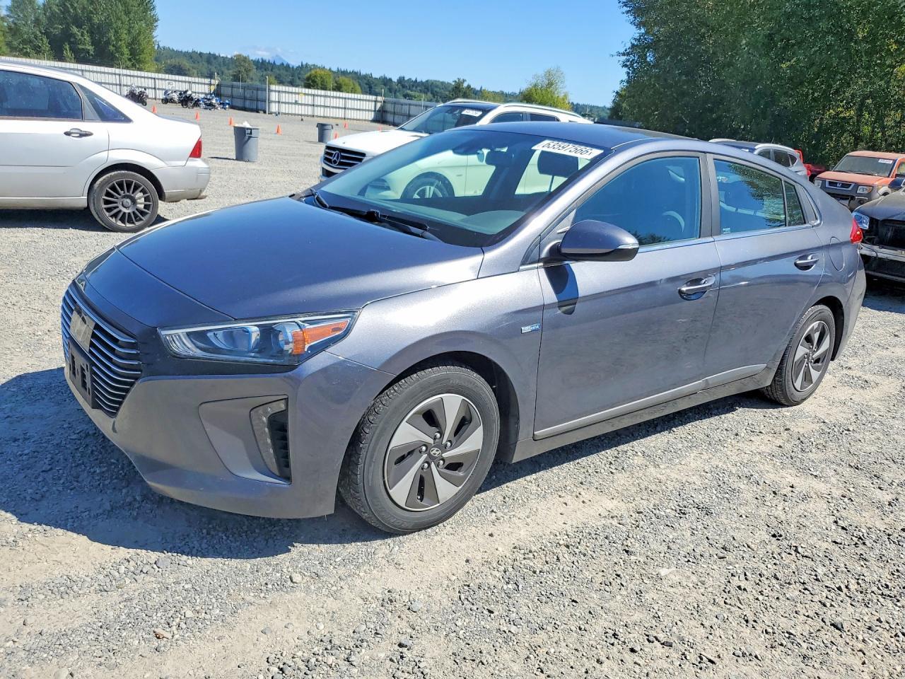 2017 Hyundai Ioniq, Sel
