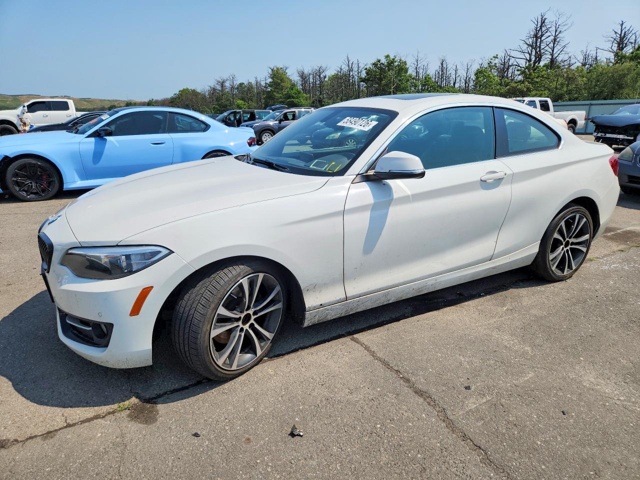 2017 BMW 2 Series, 230XI