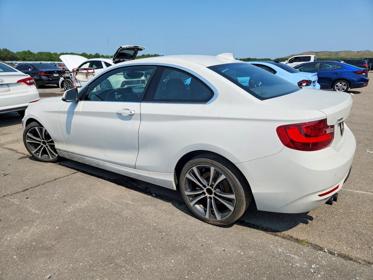 2017 BMW 2 Series, 230XI
