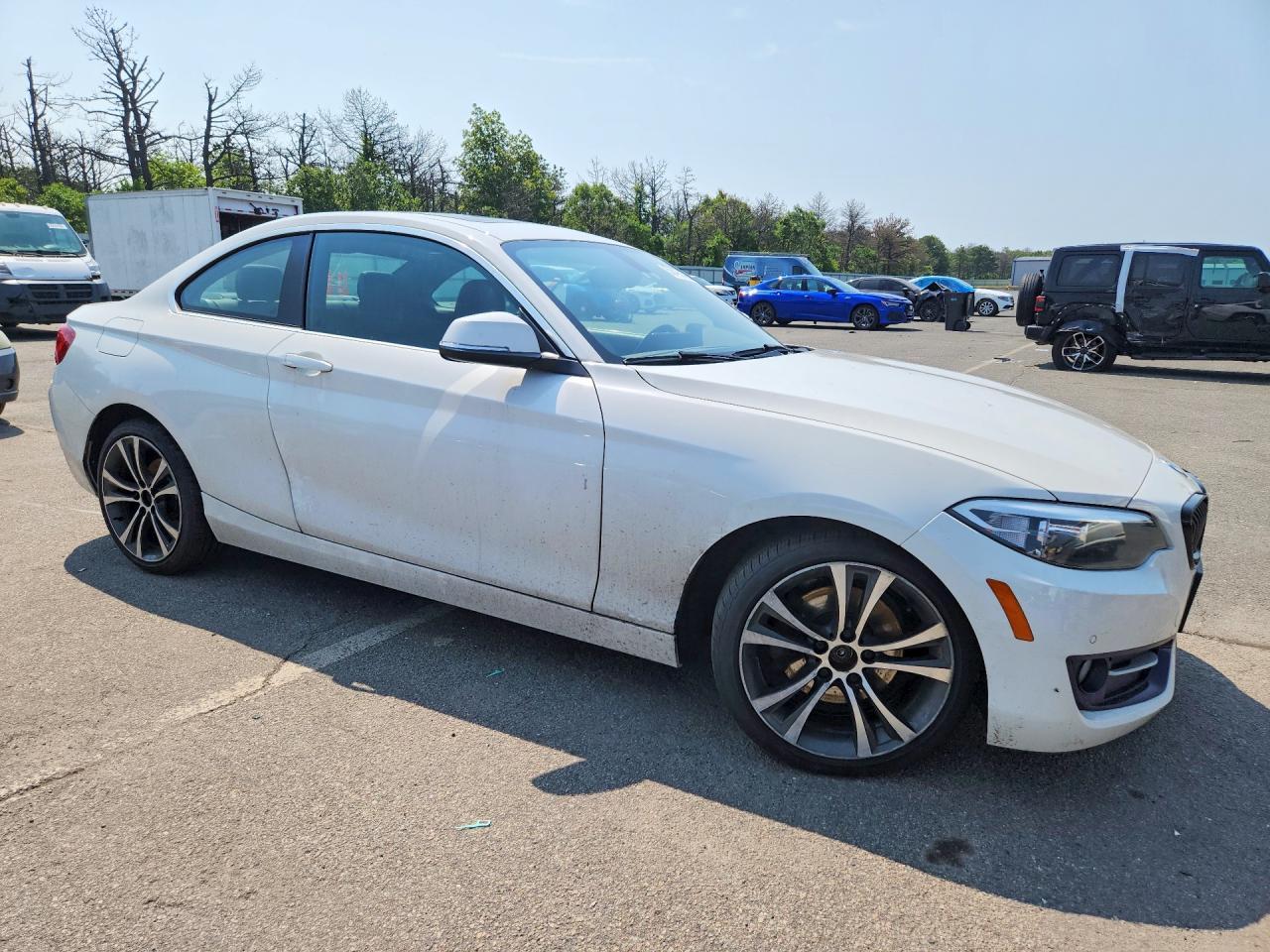 2017 BMW 2 Series, 230XI