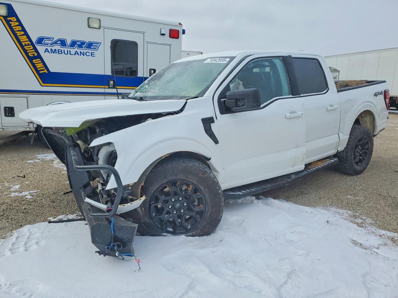 2025 Ford F-150, Xlt