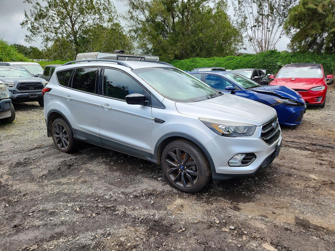 2019 Ford Escape, SE