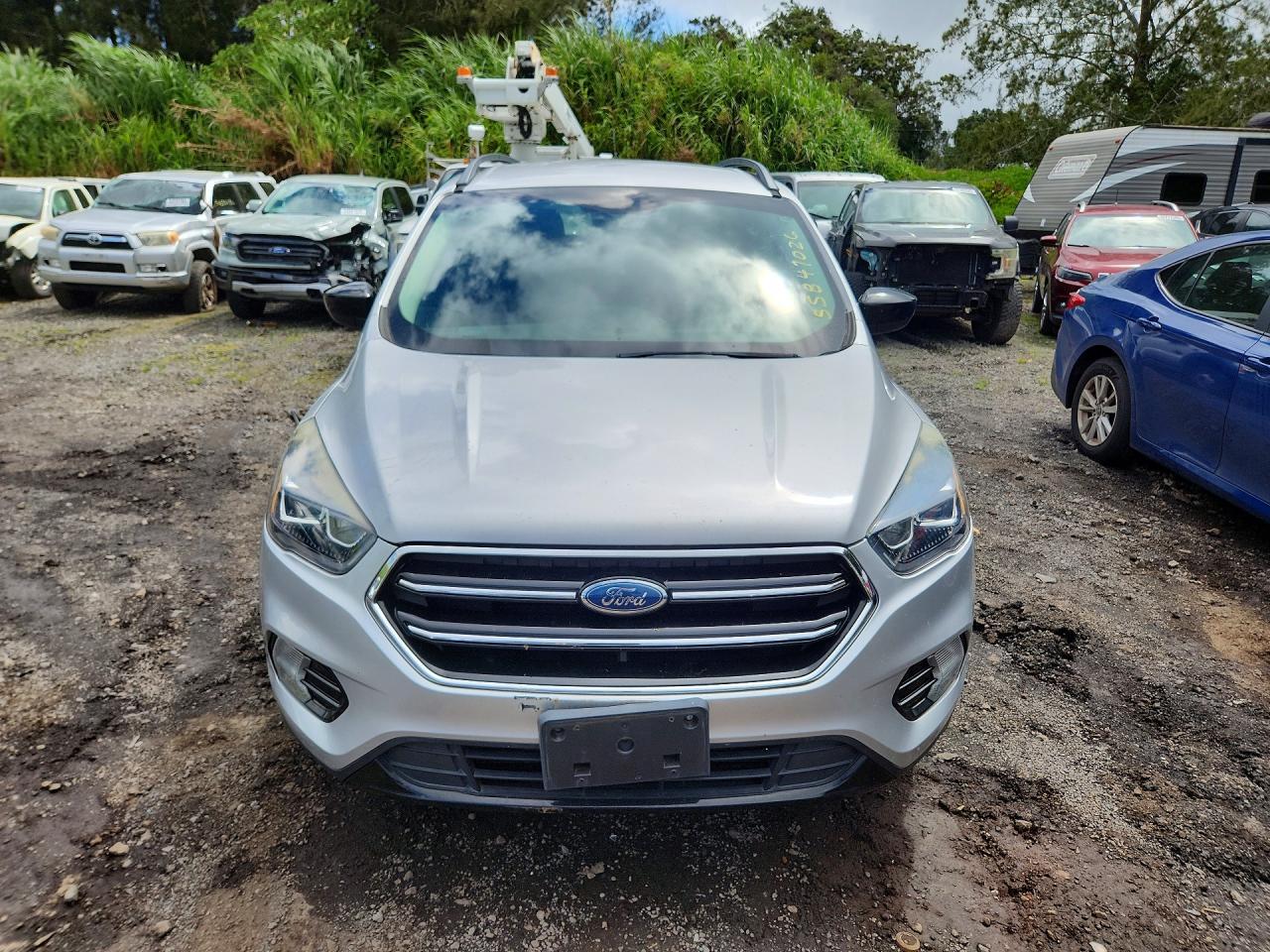 2019 Ford Escape, SE