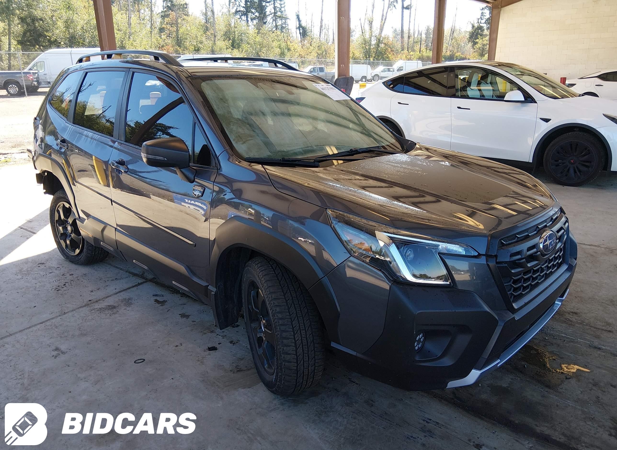 2023 Subaru Forester, Wilderness