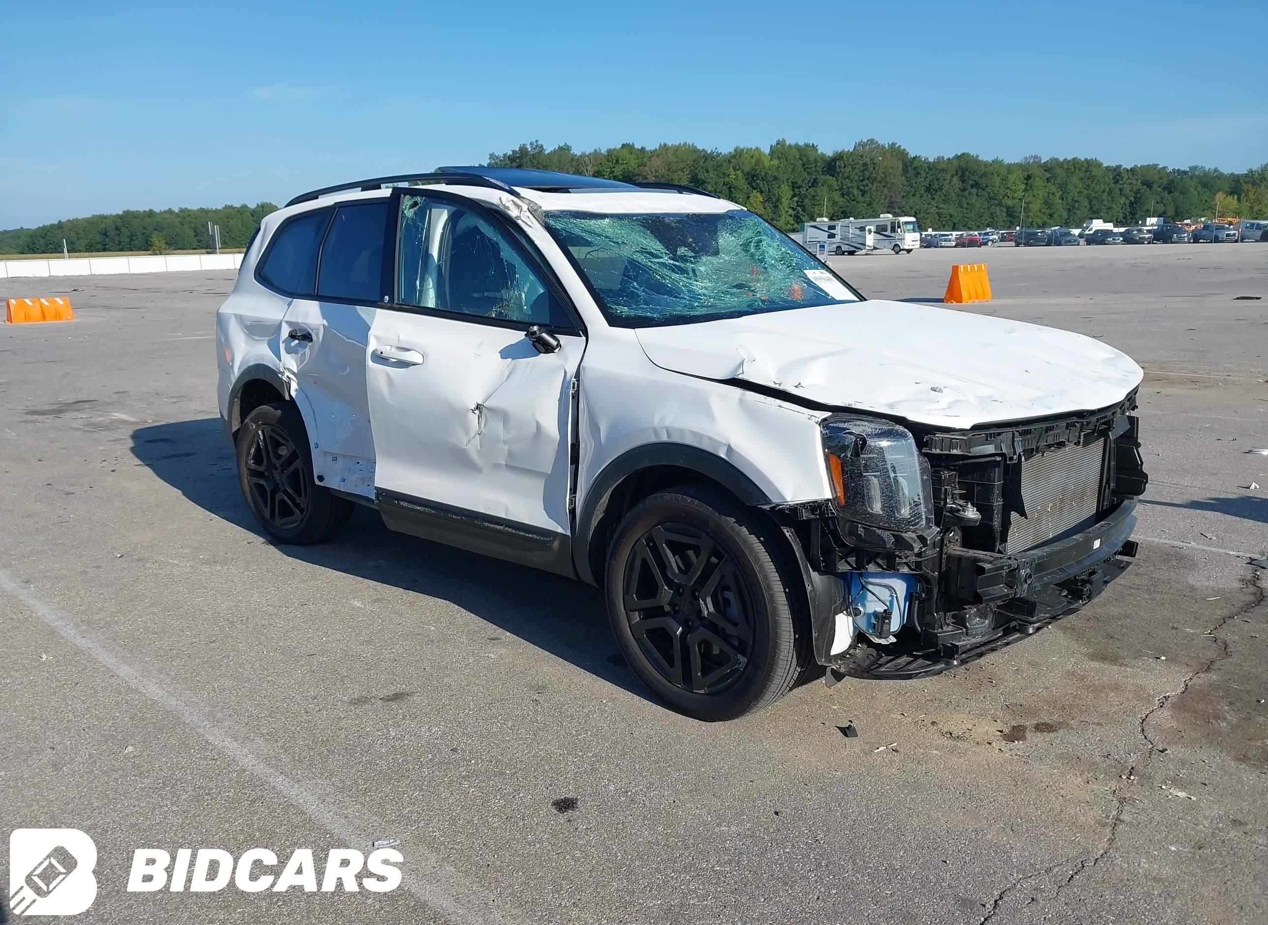 2025 KIA Telluride, Ex X-Line