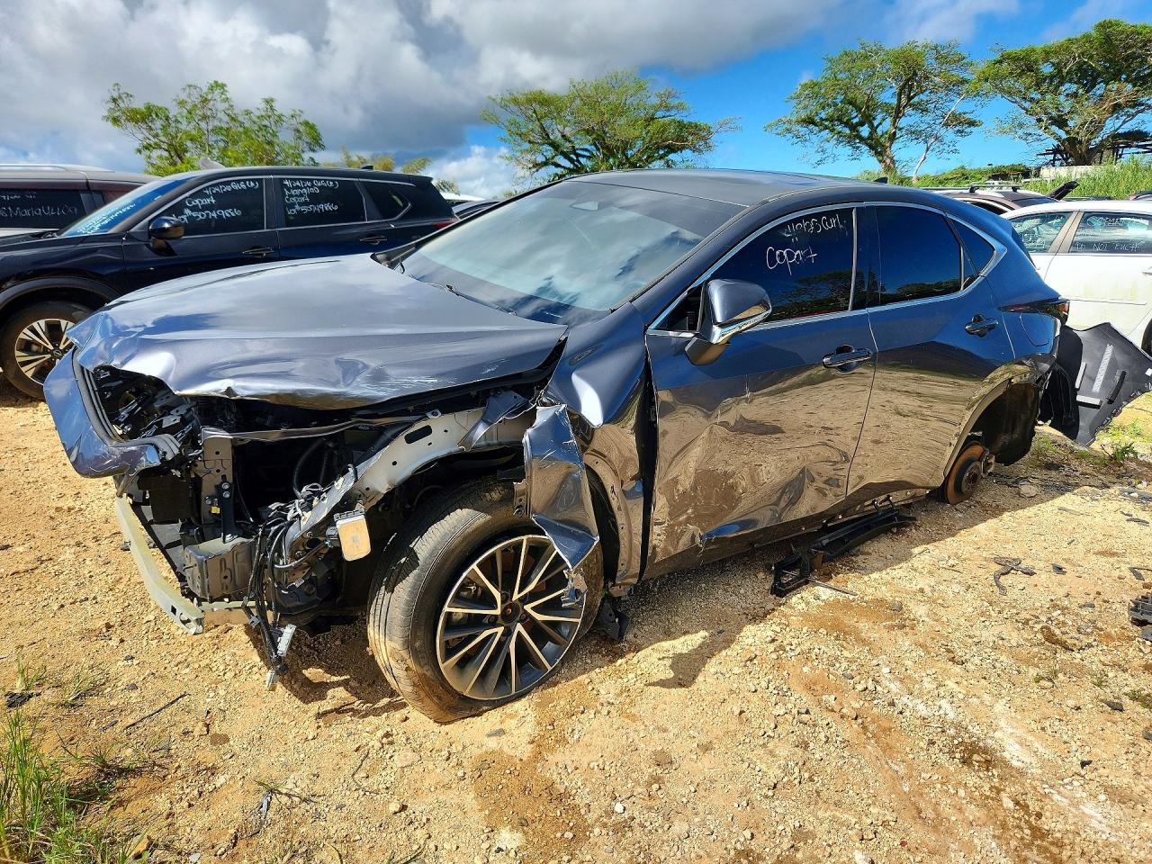 2024 Lexus NX, 250 Premium