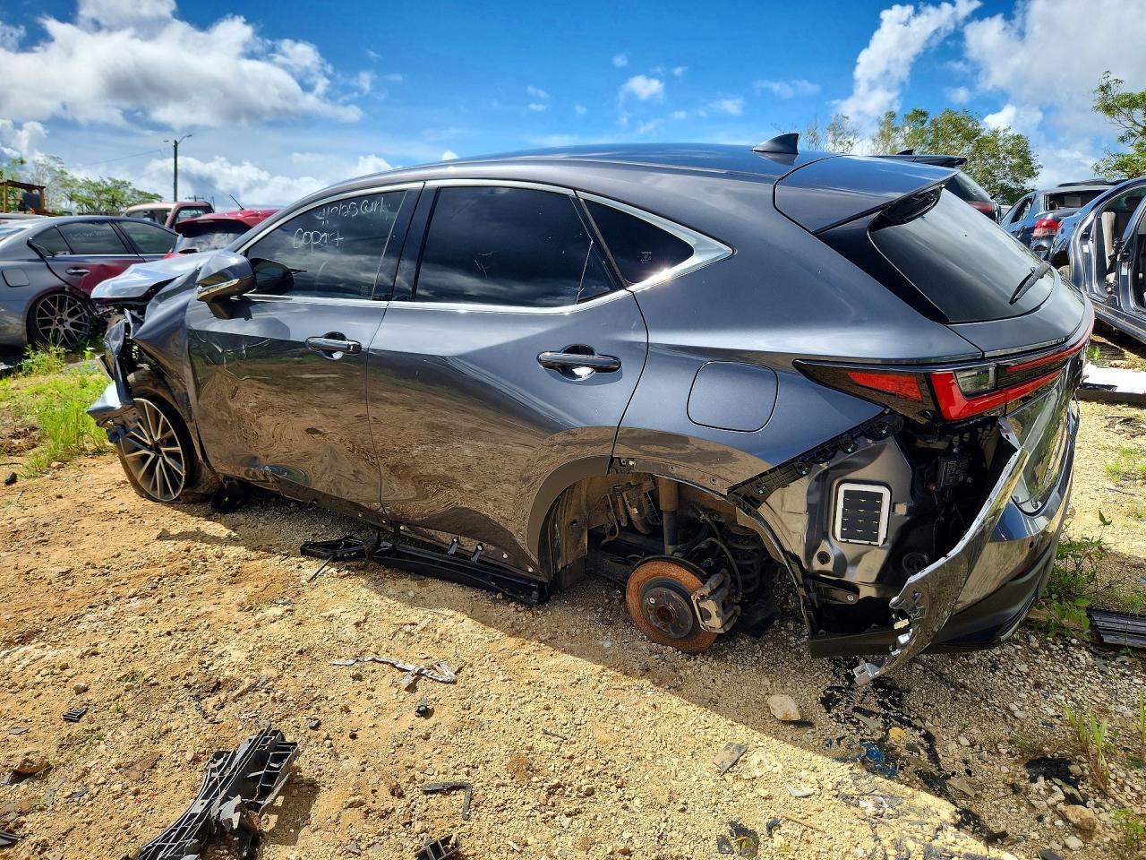 2024 Lexus NX, 250 Premium