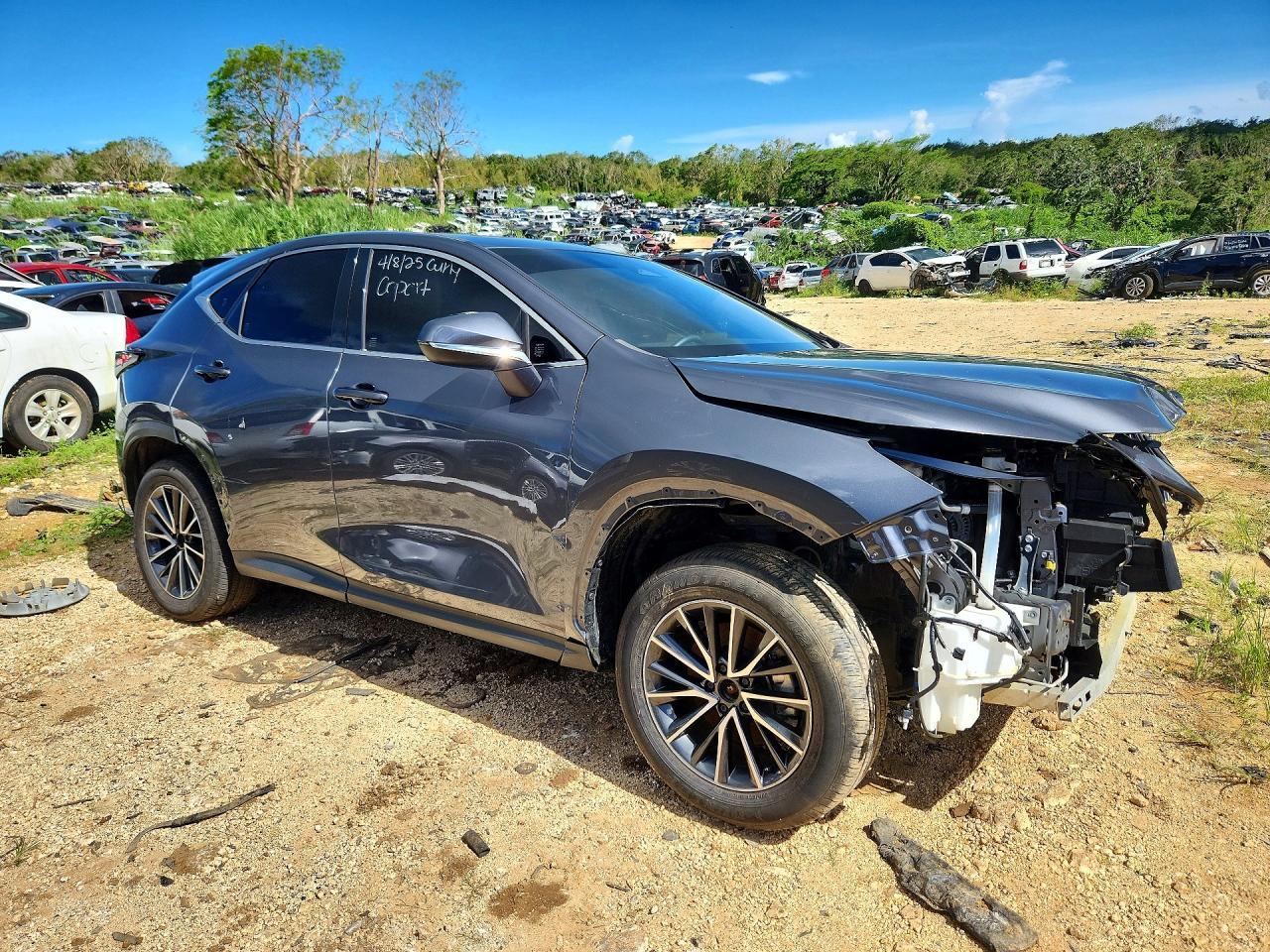 2024 Lexus NX, 250 Premium