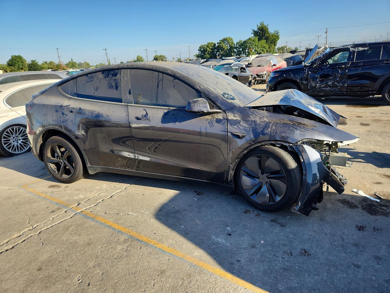 2026 Tesla MODEL Y
