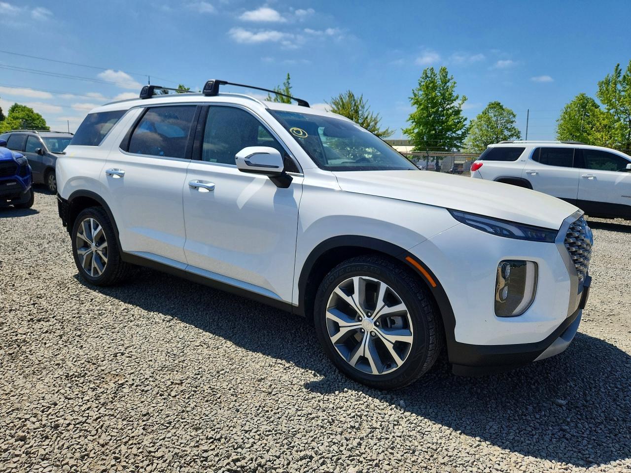 2022 Hyundai Palisade, Sel