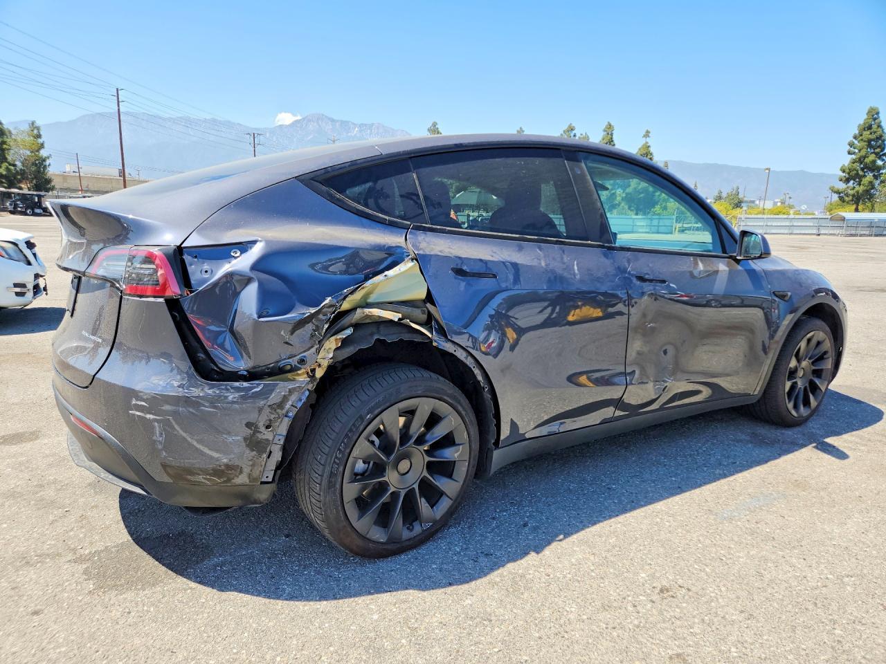 2020 Tesla MODEL Y