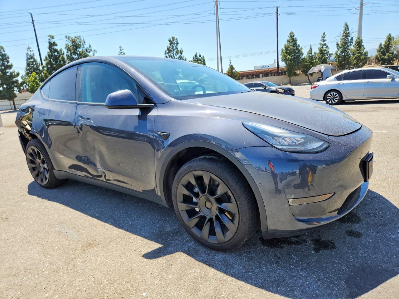 2020 Tesla MODEL Y