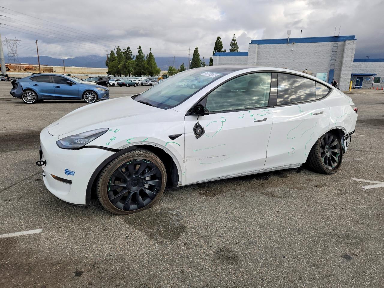 2021 Tesla MODEL Y