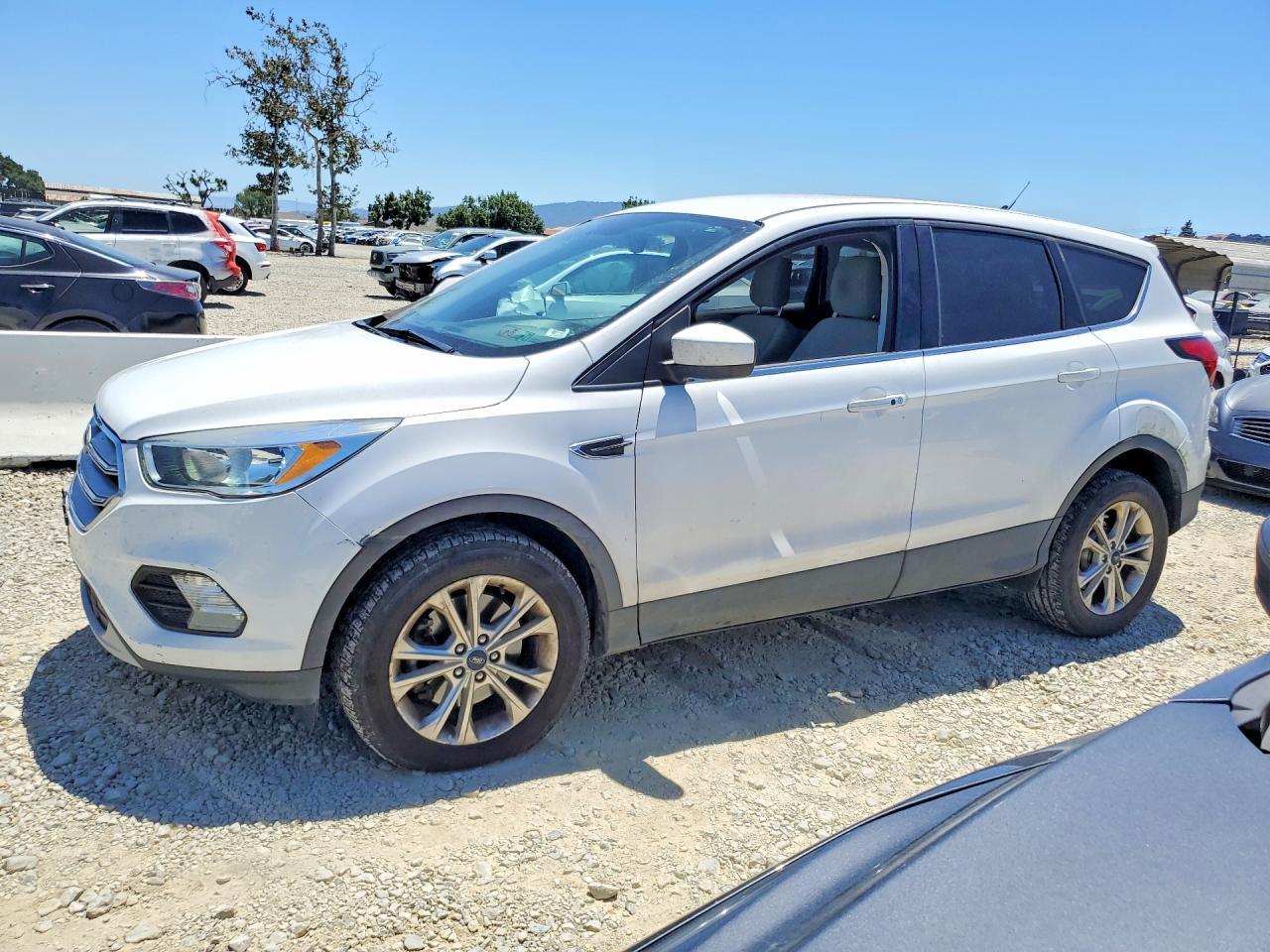 2019 Ford Escape, SE