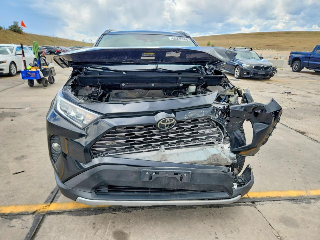 2019 Toyota RAV4, Limited