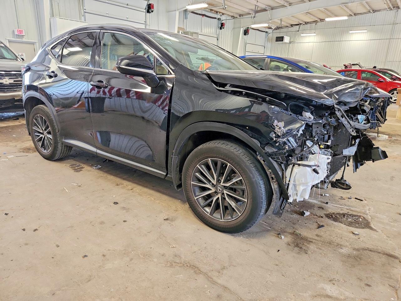 2024 Lexus NX, 250 Premium