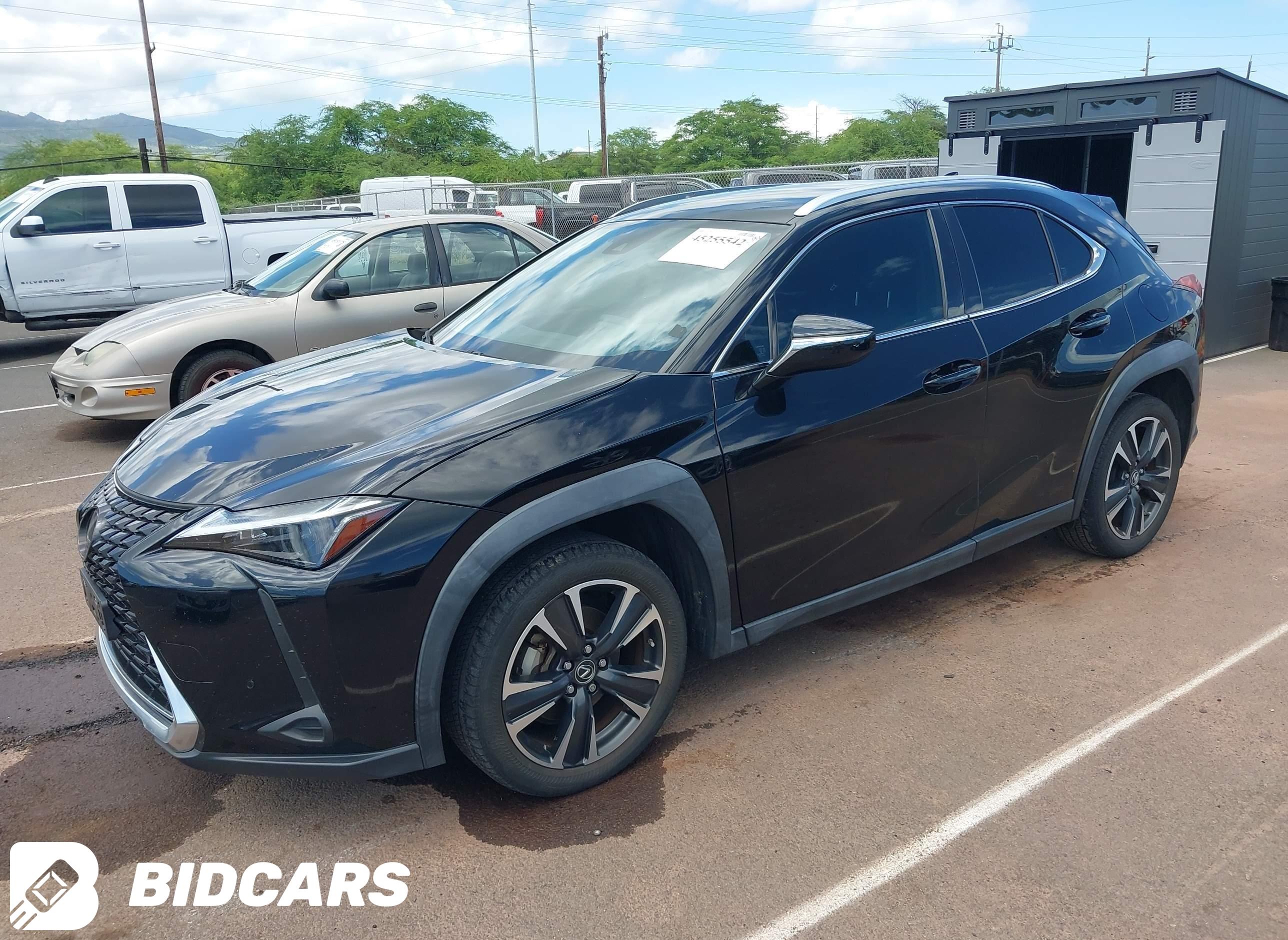 2023 Lexus UX 250H