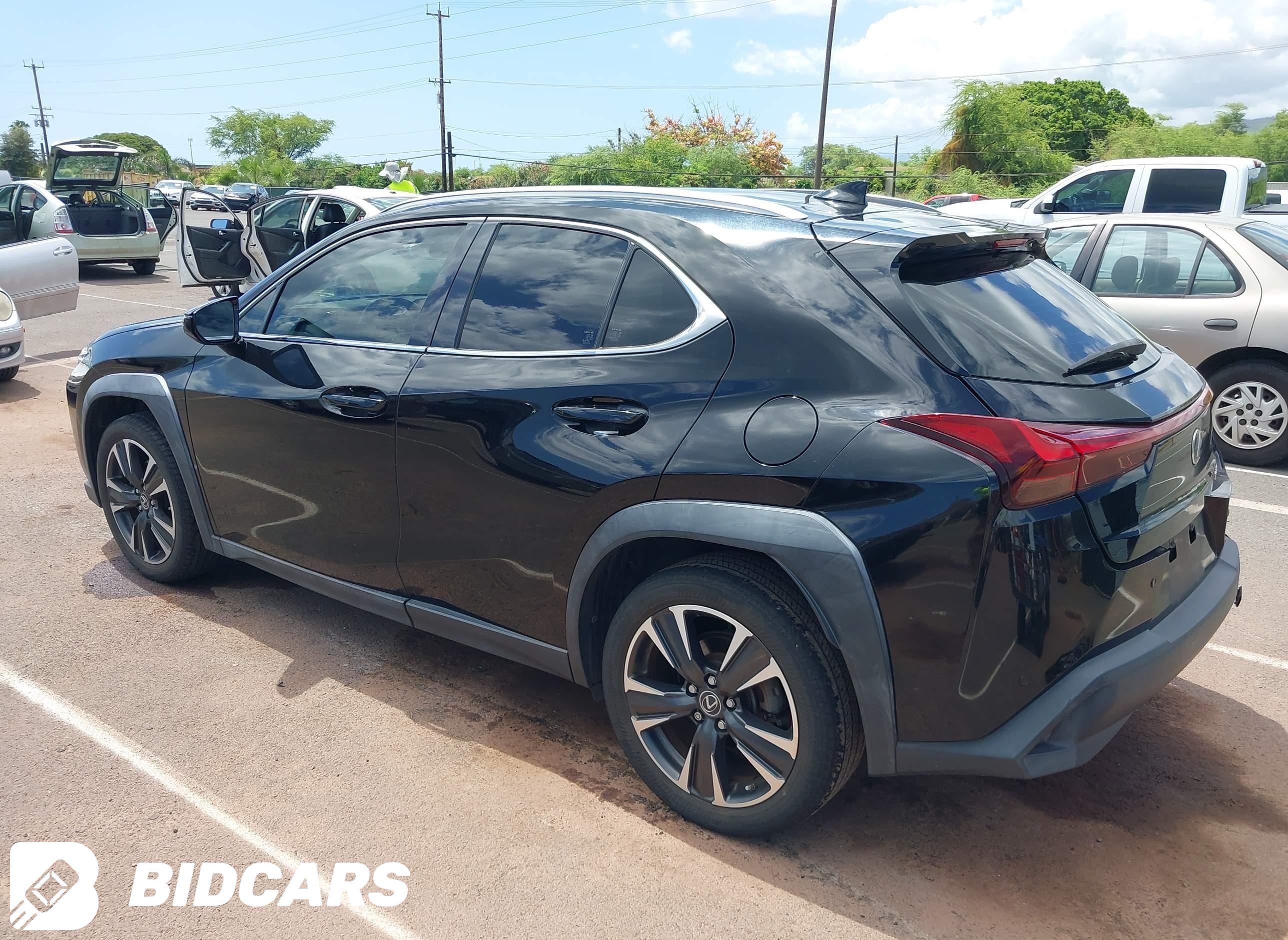 2023 Lexus UX 250H