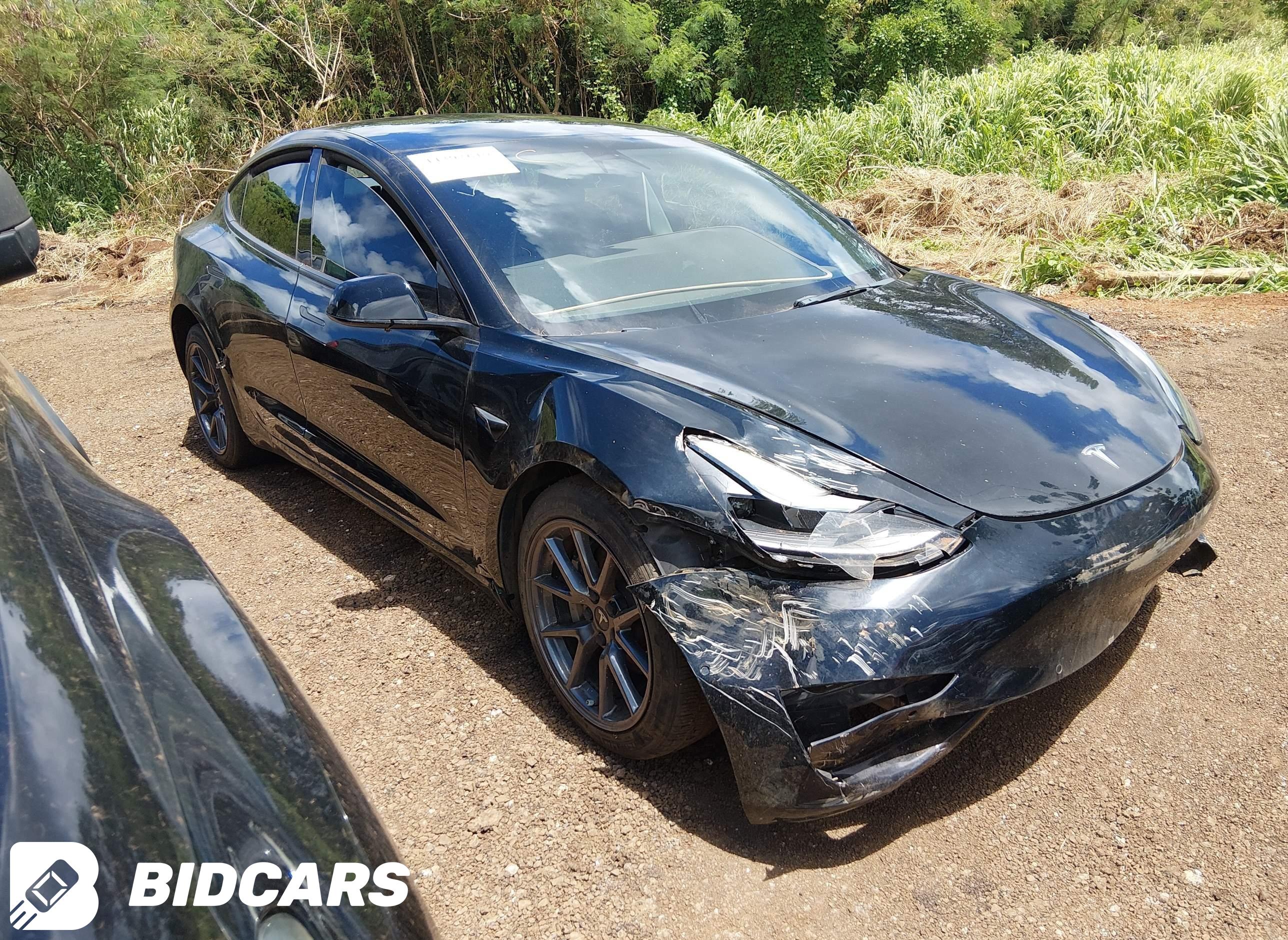 2022 Tesla Model 3, Rear-Whee...